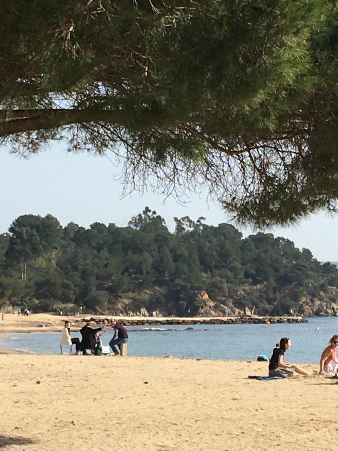 Studio L'Argentiere Plage La Londe-les-Maures Ngoại thất bức ảnh